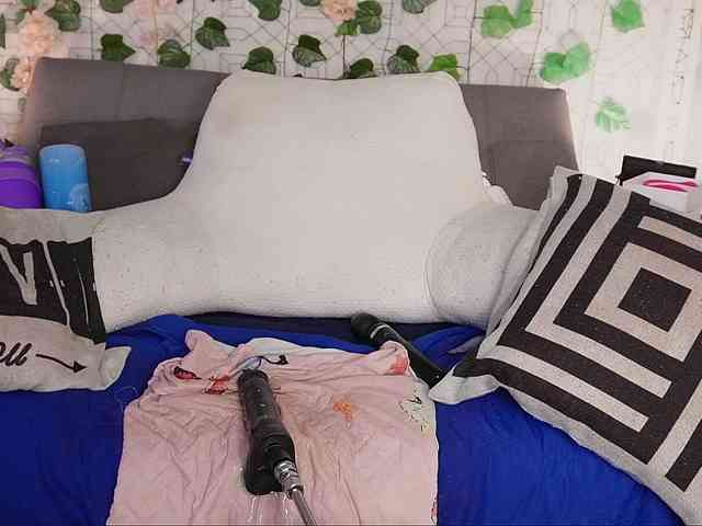 is-amelia webcam