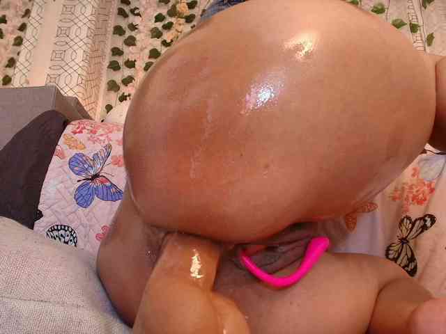 is-amelia webcam