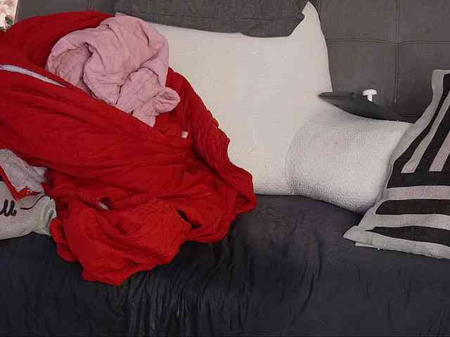 is-amelia webcam