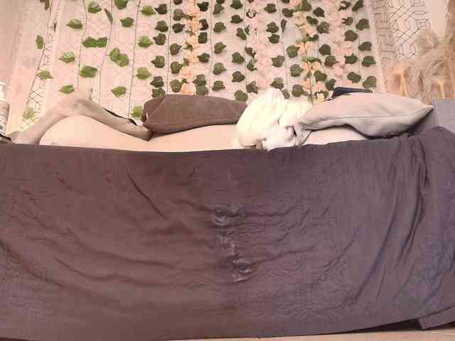 is-amelia webcam