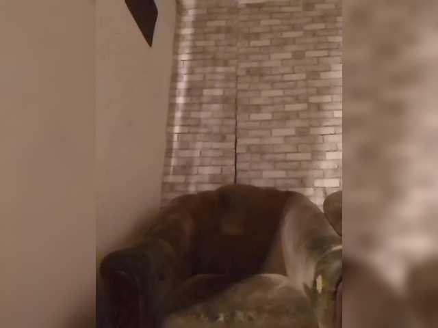 CerdAyaz's BongaCams show and profile