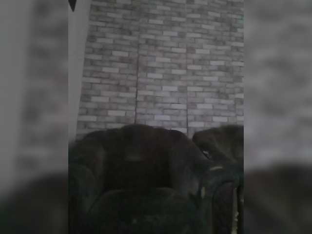 CerdAyaz's BongaCams show and profile