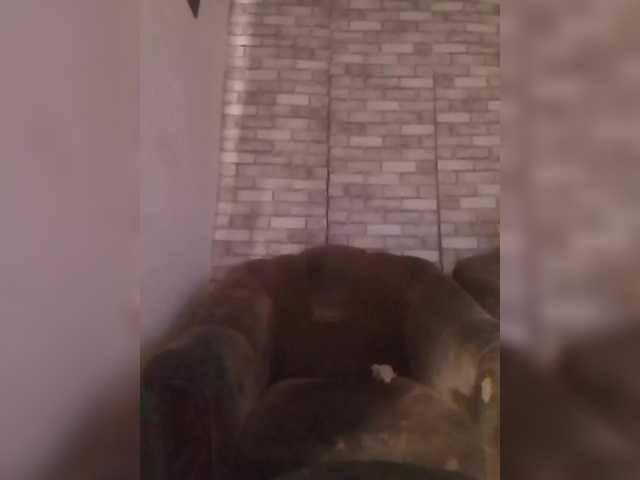 CerdAyaz's BongaCams show and profile