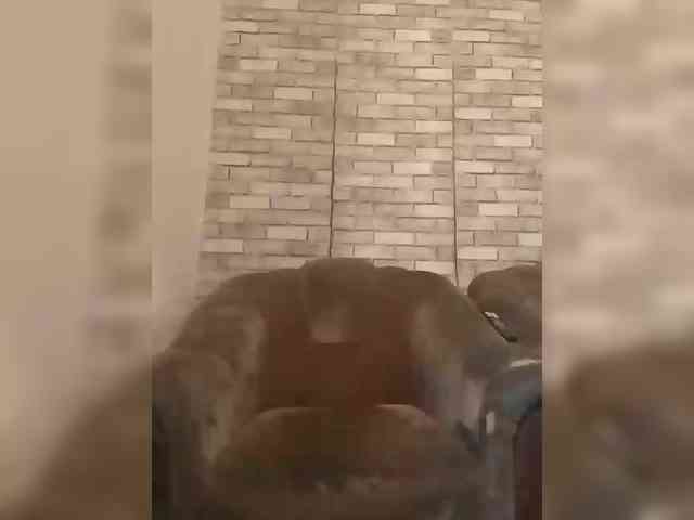 CerdAyaz webcam