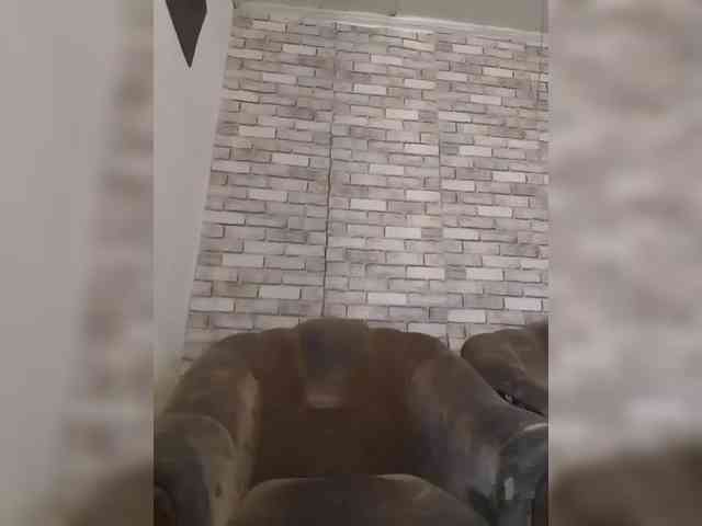 CerdAyaz webcam