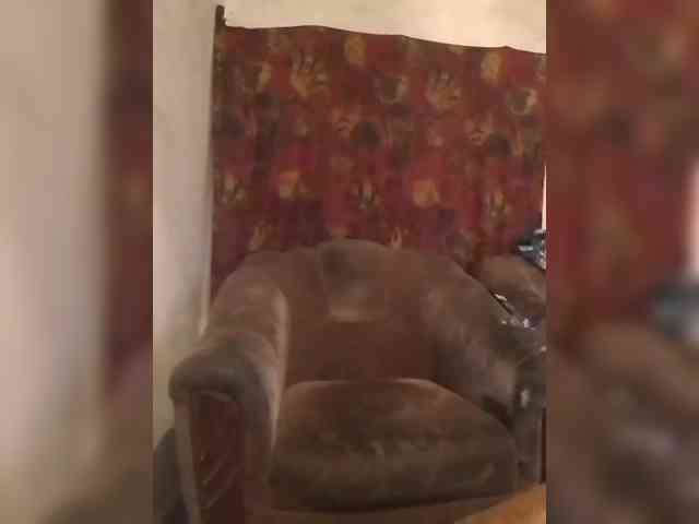 CerdAyaz webcam