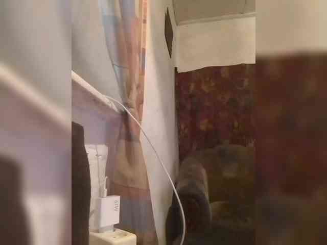 CerdAyaz webcam