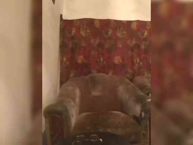 CerdAyaz webcam