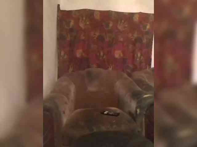 CerdAyaz webcam