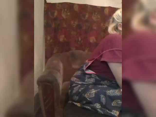 CerdAyaz webcam
