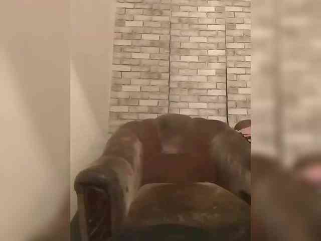 CerdAyaz webcam