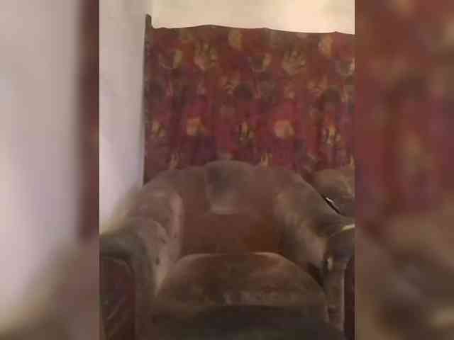 CerdAyaz webcam