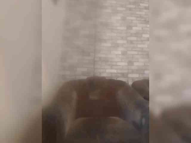 CerdAyaz webcam