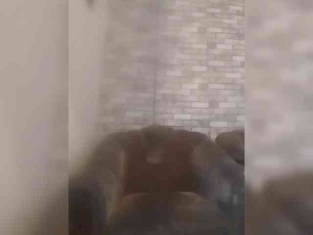 CerdAyaz webcam