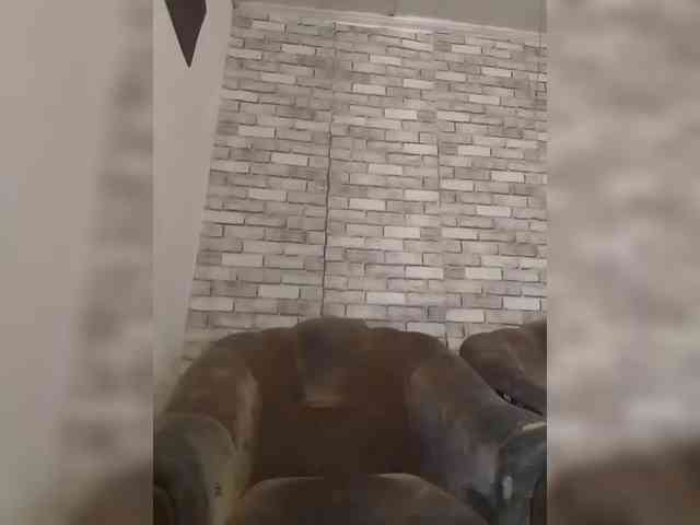 CerdAyaz webcam
