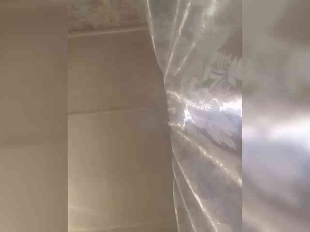 CerdAyaz webcam
