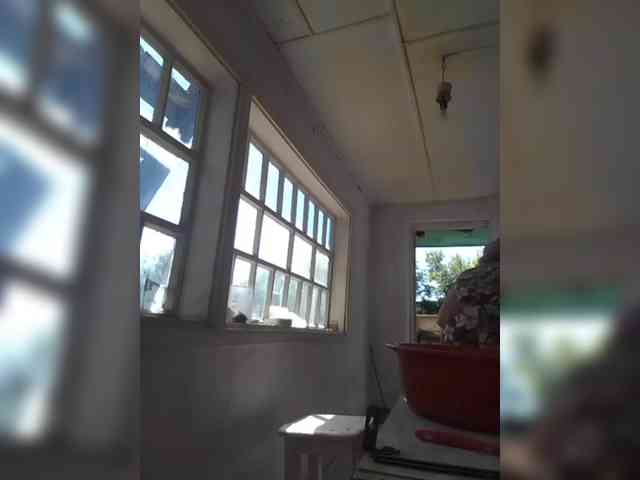 CerdAyaz webcam