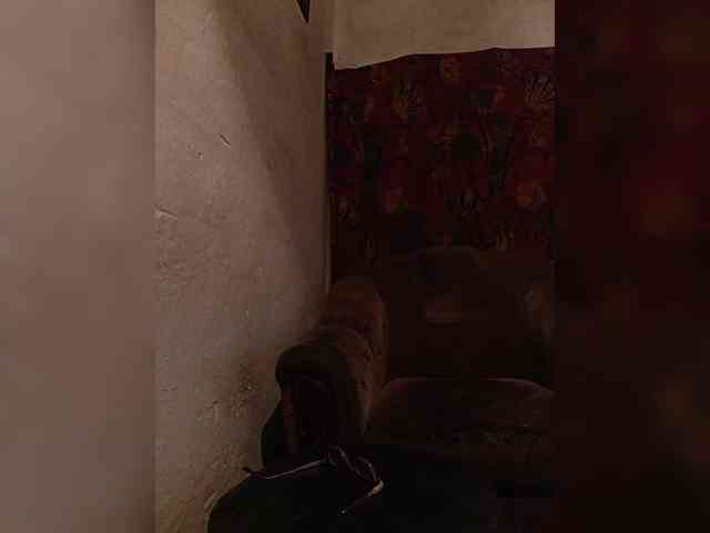CerdAyaz webcam