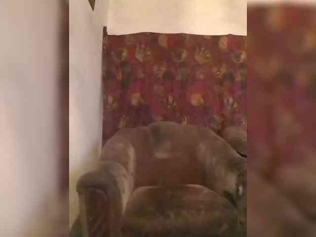 CerdAyaz webcam