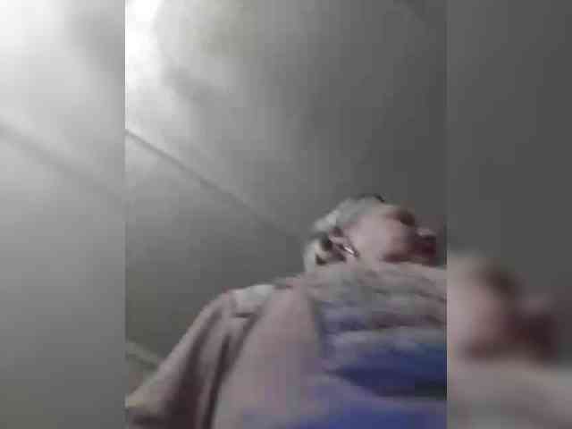 CerdAyaz webcam