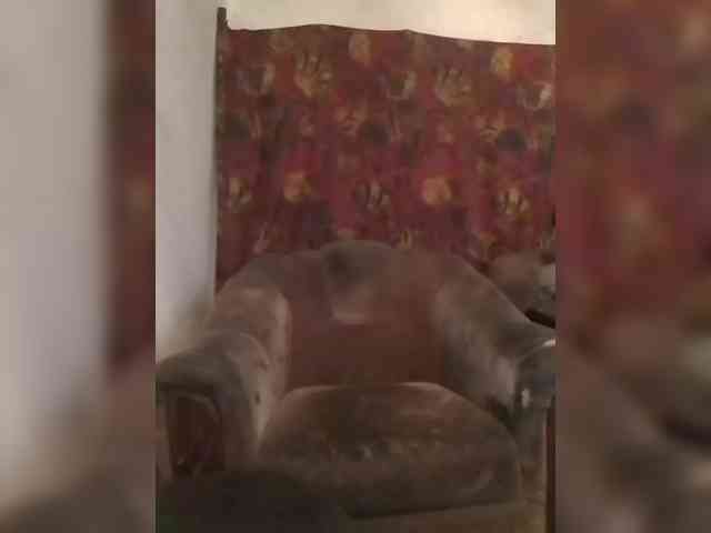 CerdAyaz webcam