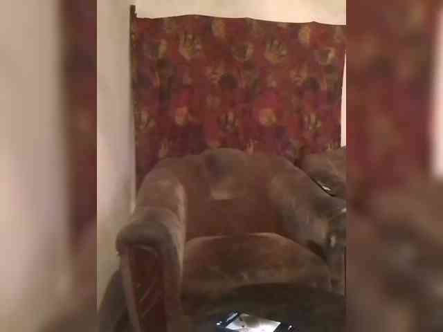 CerdAyaz webcam