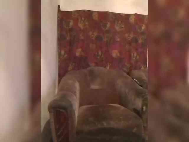 CerdAyaz webcam