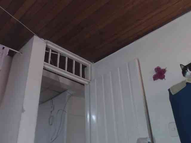 sandyxnaughty webcam