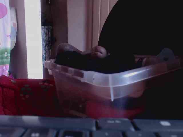 sandyxnaughty webcam