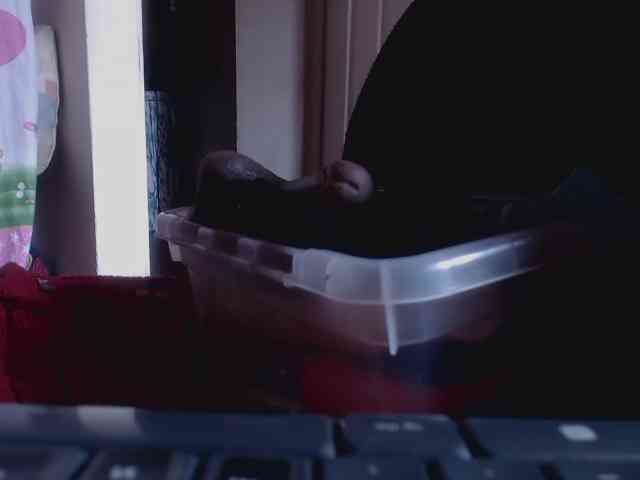 sandyxnaughty webcam