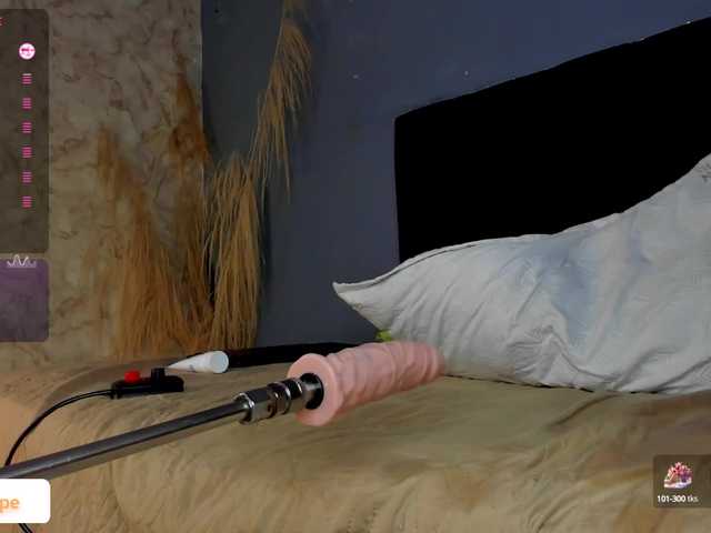 -charlotte webcam