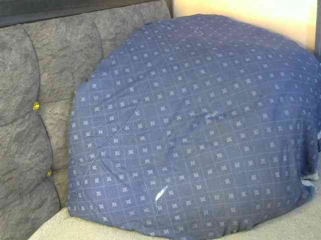 TerryAssQueen254 webcam