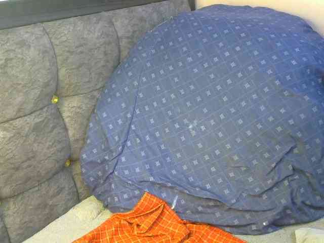 TerryAssQueen254 webcam