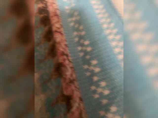 kisa23Alex29 webcam
