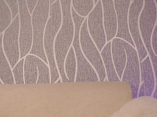 AleCorleone's BongaCams show and profile