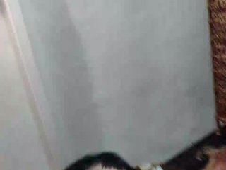 Nezsbudka Porn Show