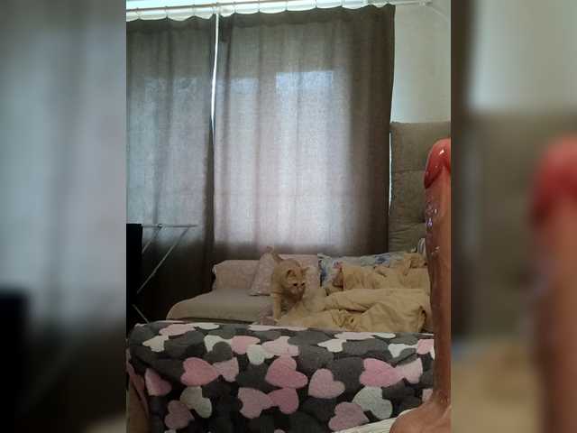 IRUSIK11's BongaCams show and profile