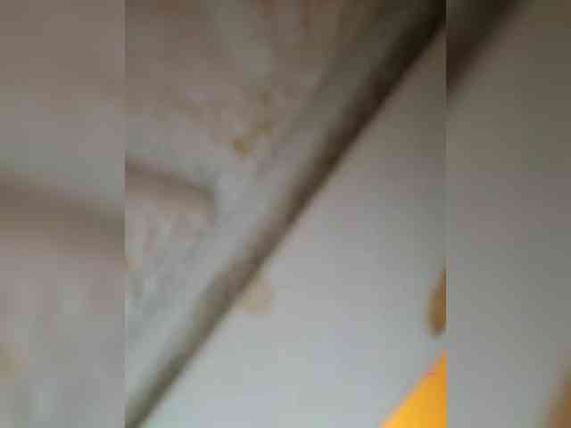 SexGGsweetdream webcam