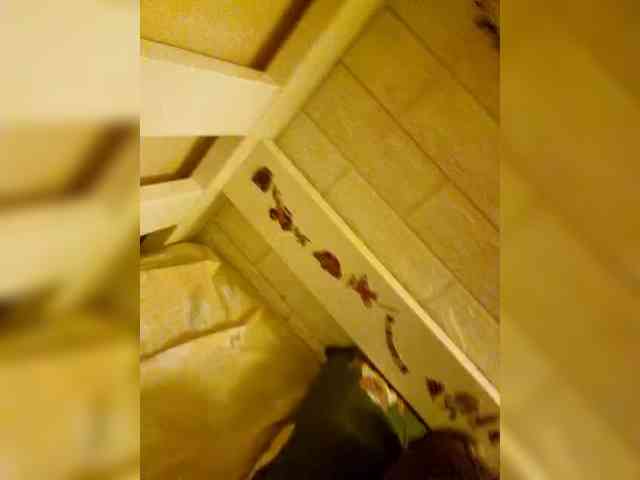 SexGGsweetdream webcam
