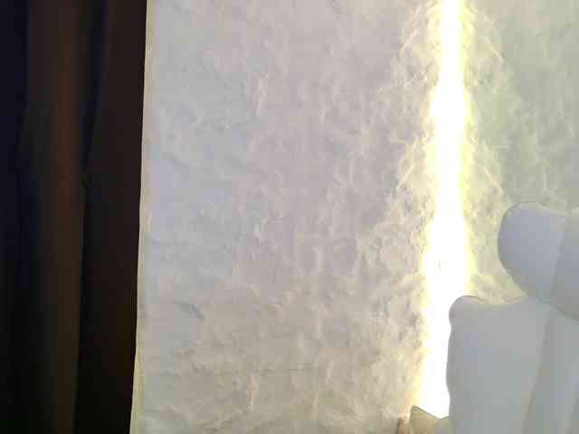 Moniqque webcam