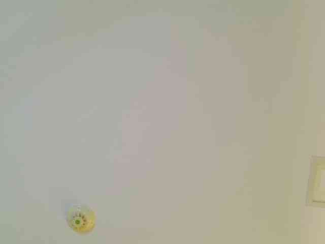 Moniqque webcam