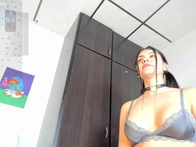 Lisvandre webcam