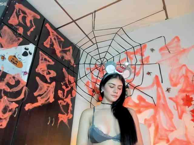 Lisvandre webcam