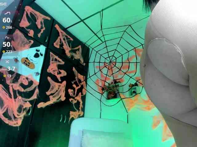 Lisvandre webcam