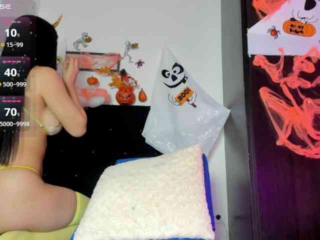 Lisvandre webcam