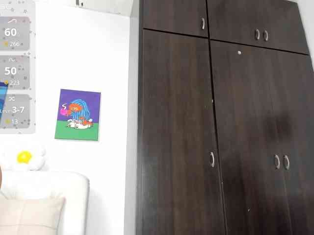 Lisvandre webcam
