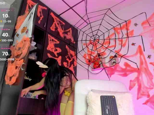 Lisvandre webcam