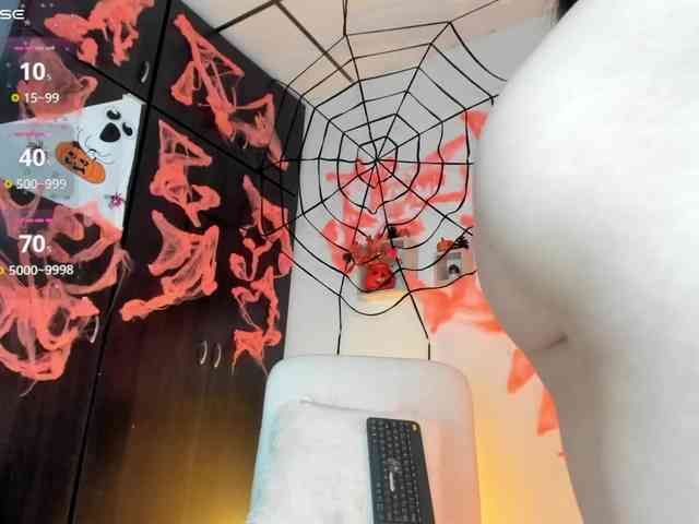 Lisvandre webcam