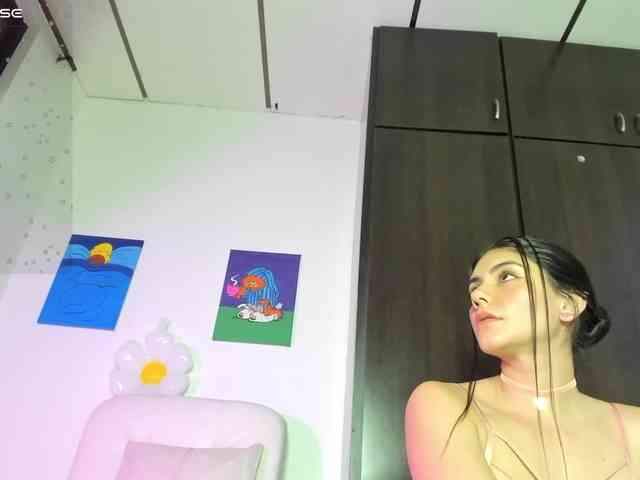 Lisvandre webcam