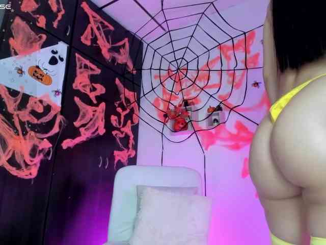 Lisvandre webcam